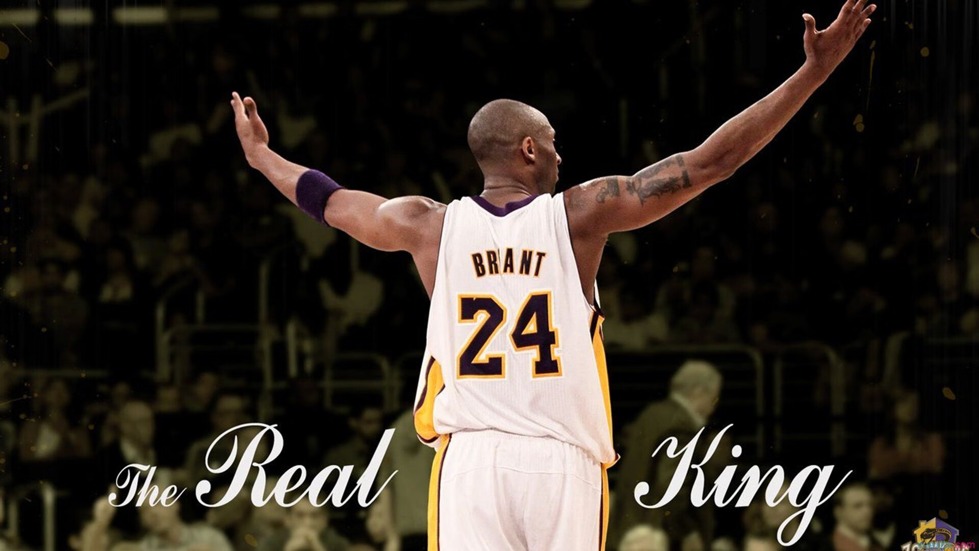 九游网游官网-韩国星际争霸赛事粉丝互动活跃，韩国星际争霸比赛