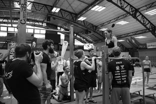 九游娱乐-“2025世界游泳锦标赛：水上芭蕾精彩纷呈，艺术之美与竞技并行”